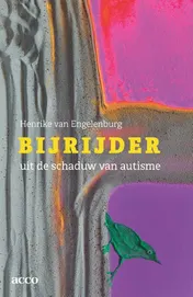 Omslag van Bijrijder