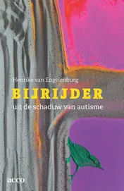 Omslag van Bijrijder