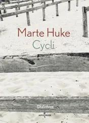 Omslag van Cycli