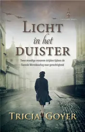 Omslag van Licht in het duister