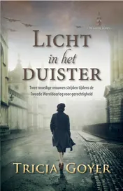 Omslag van Licht in het duister