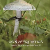 Omslag van De 9 Affirmaties