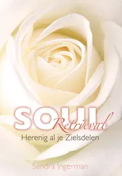Omslag van Soul Retrieval