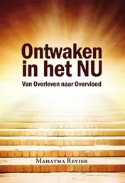 Omslag van Ontwaken in het nu
