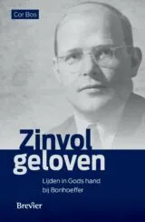 Omslag van Zinvol geloven