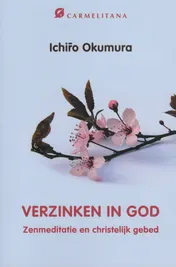 Omslag van Verzinken in god