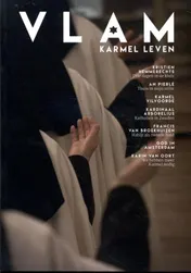 Omslag van Vlam