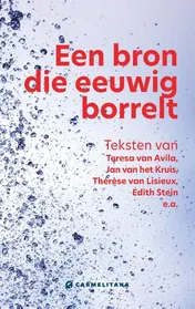 Omslag van Een bron die eeuwig borrelt