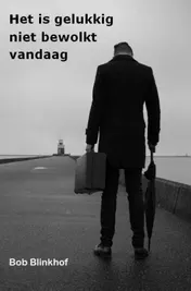 Omslag van Het is gelukkig niet bewolkt vandaag