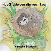 Omslag van Hoe Stekie aan zijn naam kwam