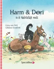 Omslag van Harm & Dori en de raadselachtige vondst