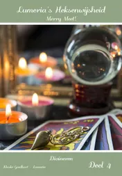 Omslag van Divineren, rituelen en regels