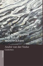 Omslag van Het schuimspoor van het onbereikbare