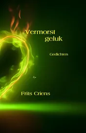 Omslag van Vermorst geluk