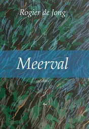 Omslag van Meerval