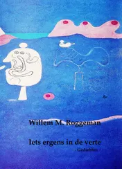 Omslag van Ergens iets in de verte