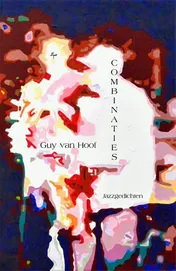Omslag van Combinaties