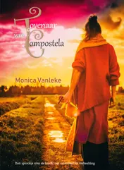 Omslag van De Tovenaar van Compostela