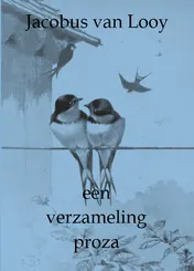 Omslag van Een verzameling proza