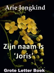 Omslag van Zijn naam is 'Joris'