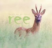Omslag van Ree