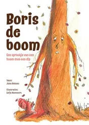 Omslag van Boris de Boom