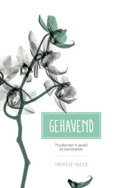 Omslag van Gehavend