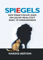 Omslag van Spiegels