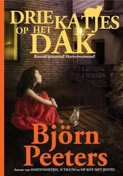 Omslag van Drie katjes op het dak