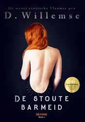 Omslag van De stoute barmeid