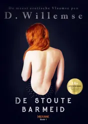 Omslag van De stoute barmeid