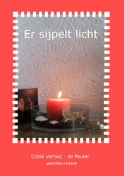 Omslag van Er sijpelt licht