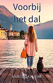 Omslag van Voorbij het dal