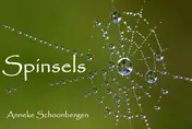Omslag van Spinsels