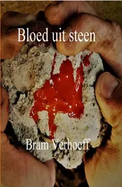 Omslag van Bloed uit steen