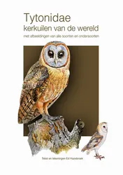 Omslag van Tytonidae - Kerkuilen van de wereld