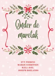 Omslag van Onder de maretak