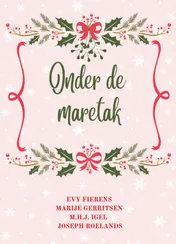 Omslag van Onder de maretak