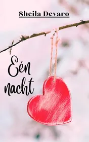 Omslag van Eén nacht