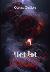 Omslag van Het lot beslist
