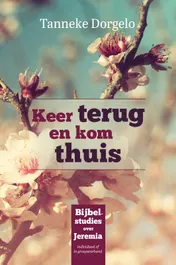 Omslag van Keer terug en kom thuis