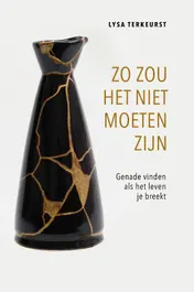 Omslag van Zo zou het niet moeten zijn