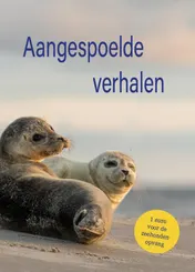 Omslag van Aangespoelde verhalen