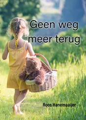Omslag van Geen weg meer terug