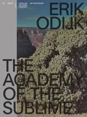 Omslag van Erik Odijk. The Academy of the Sublime