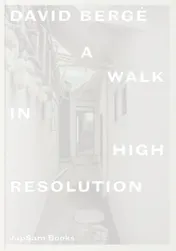 Omslag van David Bergé. A Walk in High Resolution