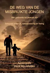 Omslag van De weg van de misbruikte jongen