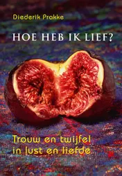Omslag van Hoe heb ik lief?
