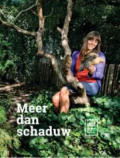 Omslag van Meer dan schaduw