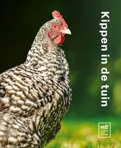 Omslag van Kippen in de tuin